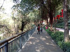 -金鸡山公园