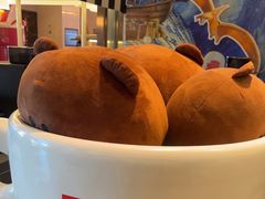 -美盛喜来登大酒店-盛宴标帜餐厅