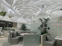 -大树餐厅(朝阳大悦城店)