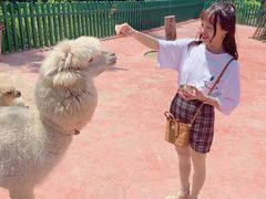 -无锡动物园·太湖欢乐园
