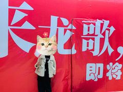 -龍歌自助小火锅(李沧顺和汇店)
