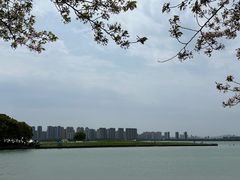 -苏州独墅湖世尊酒店