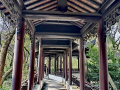 -上海佘山国家森林公园天马山园