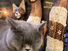 -平行世界·猫咖(首经贸店)