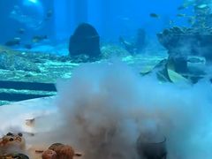 -亚特兰蒂斯•OSSIANO奥西亚诺海底餐厅