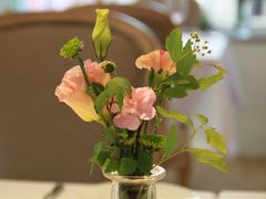 -蝶舍·MAISON PAPILLON