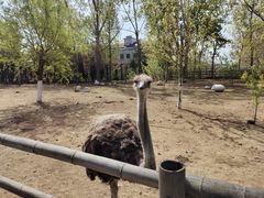 -大连森林动物园