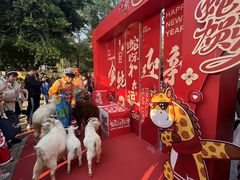 -灵玲国际马戏城