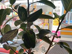 -gaga(深圳福田星河COCO Park店)