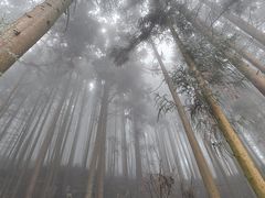 -山王坪喀斯特国家生态公园