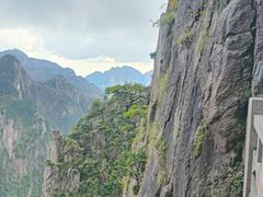 -黄山白云宾馆
