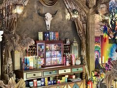 -雪灵魔法世界SHELLY’S TAROT(大良桂畔里店)