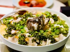 青青椒麻龙胆鱼-CHIC1699远洋私厨