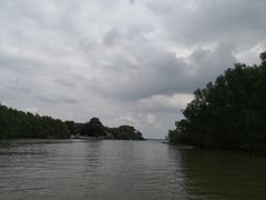 -东寨港红树林旅游区