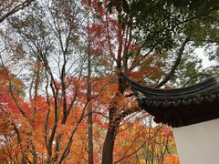-秋霞圃
