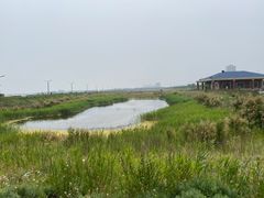 -东疆建设开发纪念公园