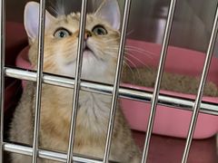 -佳雯宠物医院(金华南路分院)