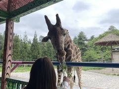 -贵州森林野生动物园