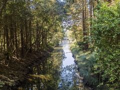 -上海滨江森林公园