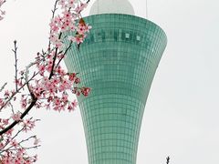 -狐尾山公园