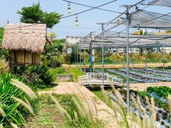 -Ohkajhu Organic Farm Sansai