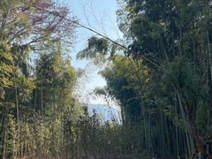 -南北湖风景区