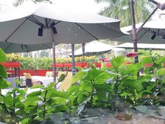 -百味馆·粤菜·湛江菜(后海花园店)