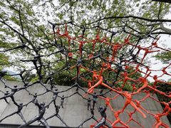 -雕刻之森美术馆