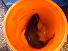 -粗粮人家·东北菜(洋桥店)