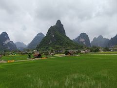 -明仕田园