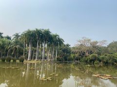 -中国科学院西双版纳热带植物园