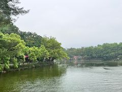 -星湖旅游景区七星岩
