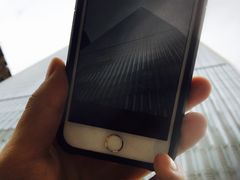 -世界贸易中心一号大楼
