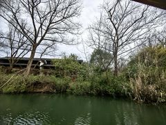 -西溪国家湿地公园