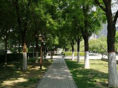 -木塔寺遗址生态公园