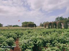 -万绿园