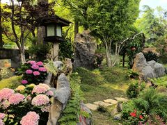 -上海鲜花港