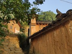 -杨家堂村