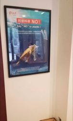 -FineYoga梵音瑜伽·普拉提