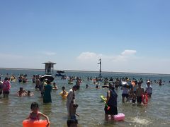 -碧海金沙