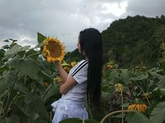 -贵阳市花溪国家城市湿地公园