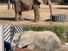 -鄂尔多斯野生动物园