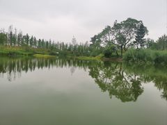 -三垟湿地