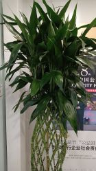 -悟空祛痘·诺奖技术专业店