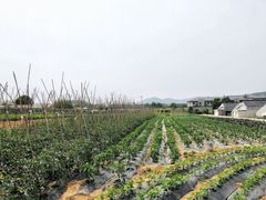 -大连北马山庄