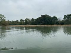 景点-西溪国家湿地公园