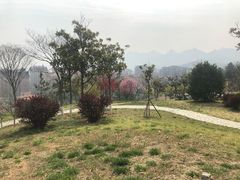 -浮山香苑