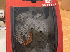-幸福里DIY蛋糕烘焙·团建·拼豆豆(普陀店)
