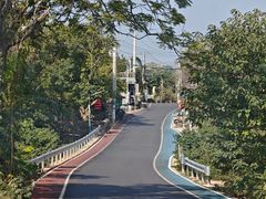 -涠洲岛香蕉鸡