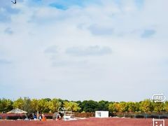 -嘉北郊野公园